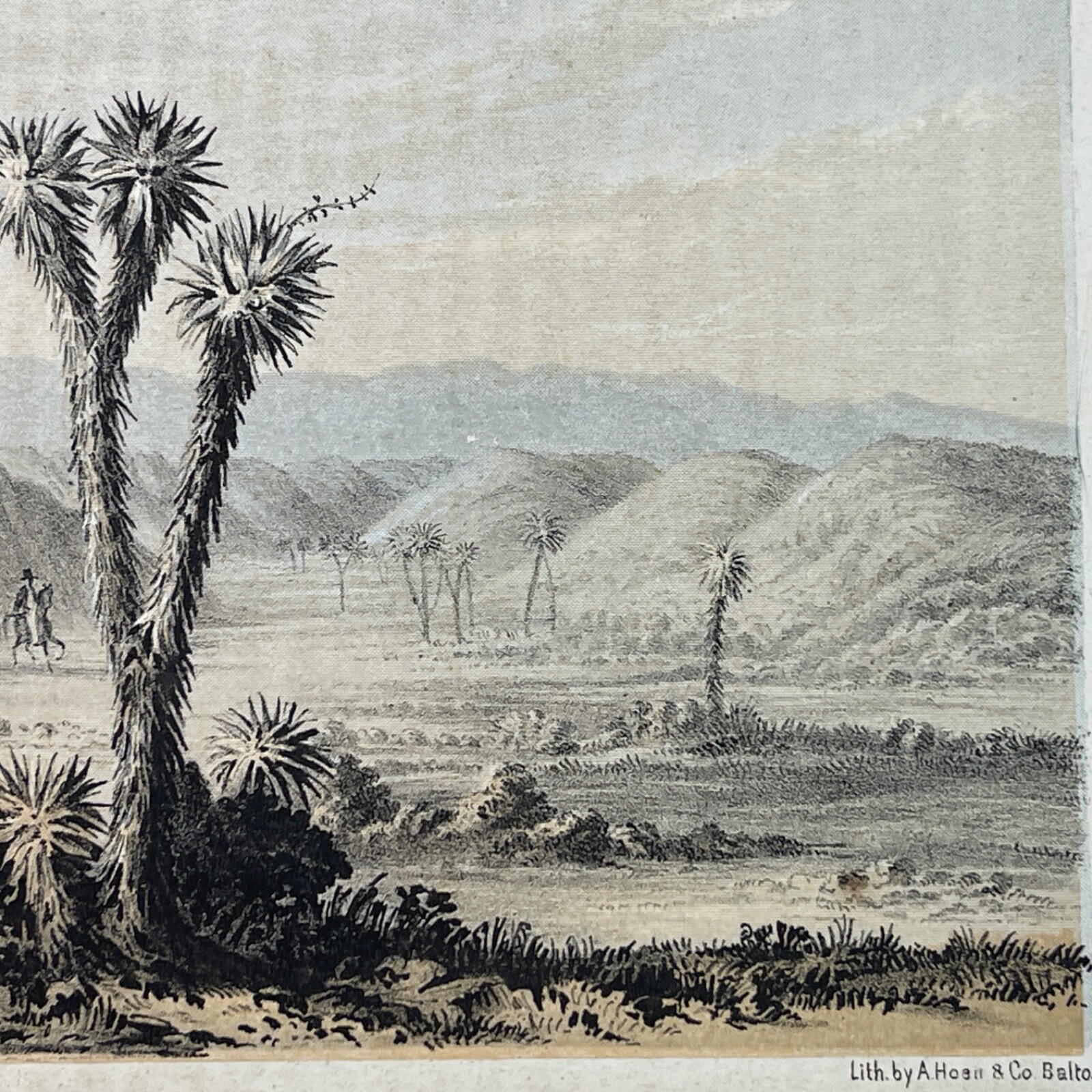 Antique Lithograph Print 1850s USPRR Survey and Expedition California Plate XI
