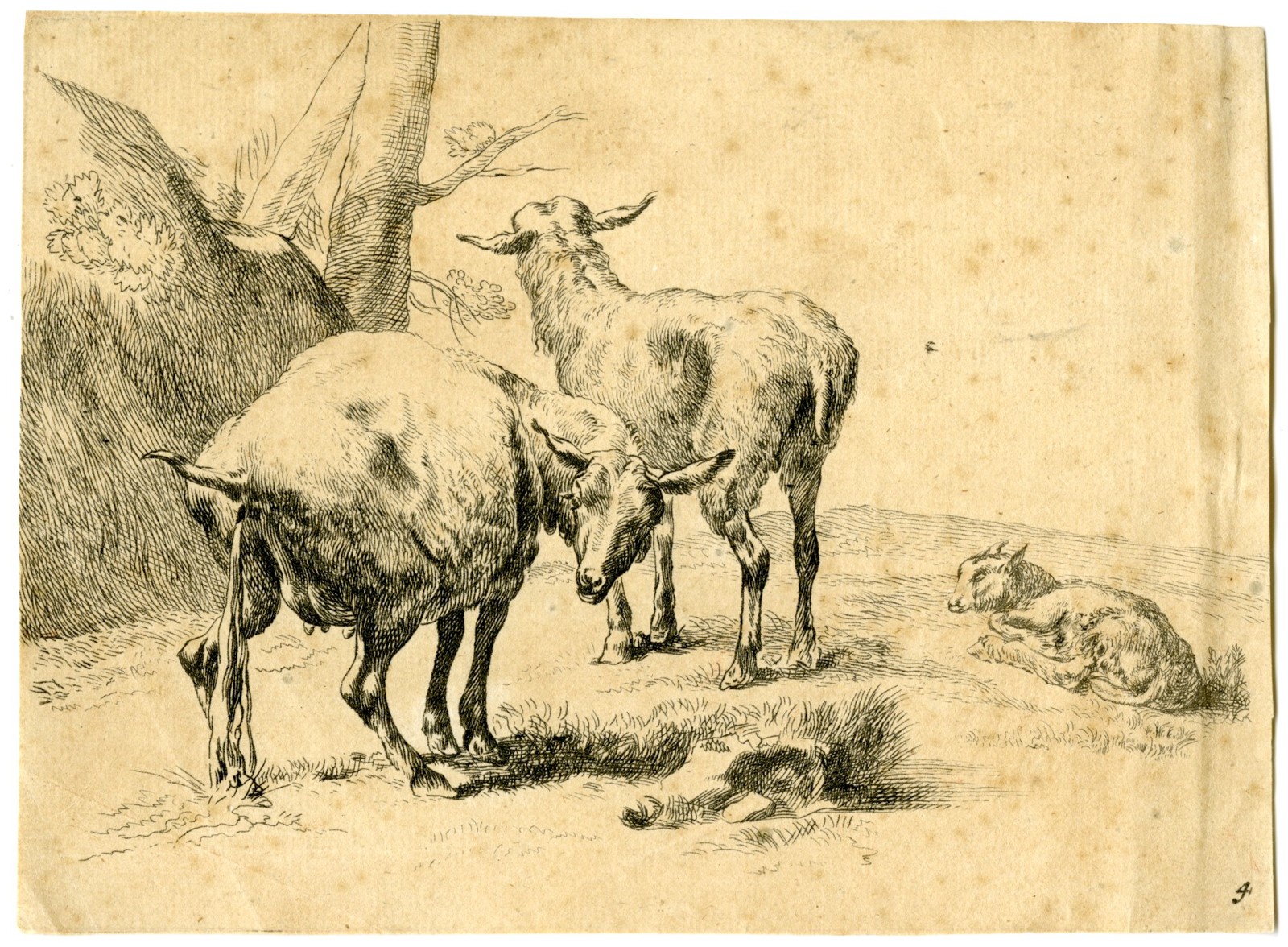 Antique Master Print-PISSING-EWE-SHEEP-Berchem-c.1700-1725