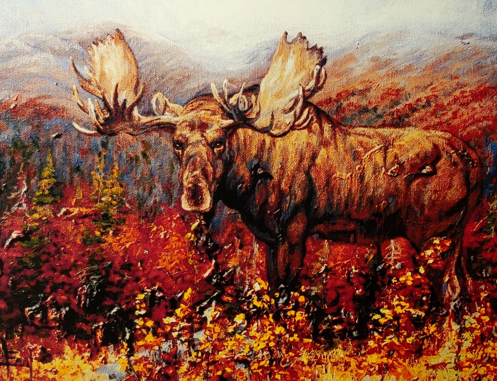 Bull Moose Painting, 8.5 x 11 inches, signed print, on quality matte paper