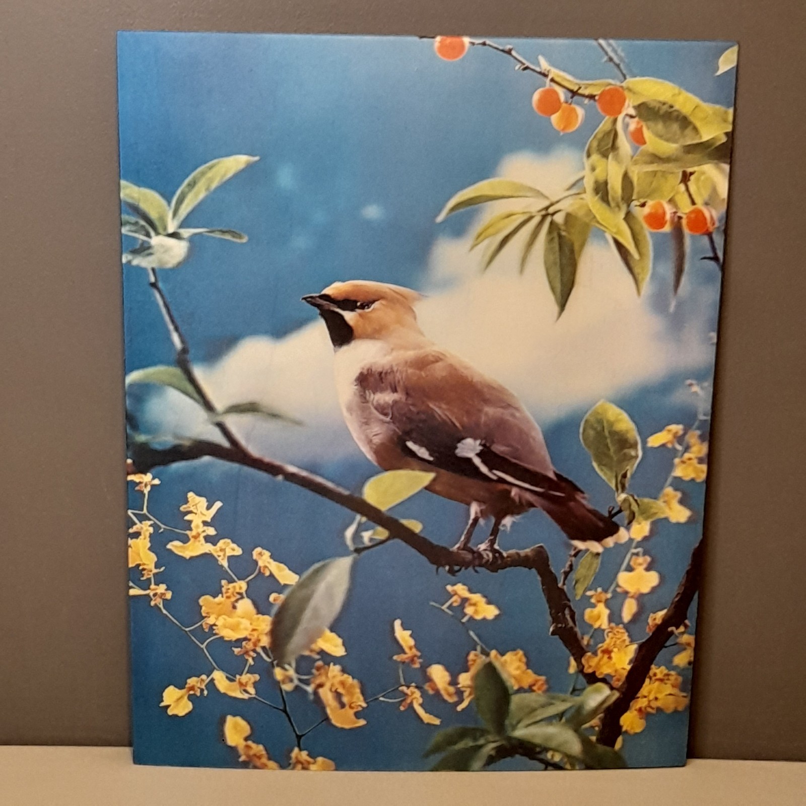 Vintage WAXWING Lenticular Op Art Cool Rare 3D 3-D TOPPAN Lentograph BIRD