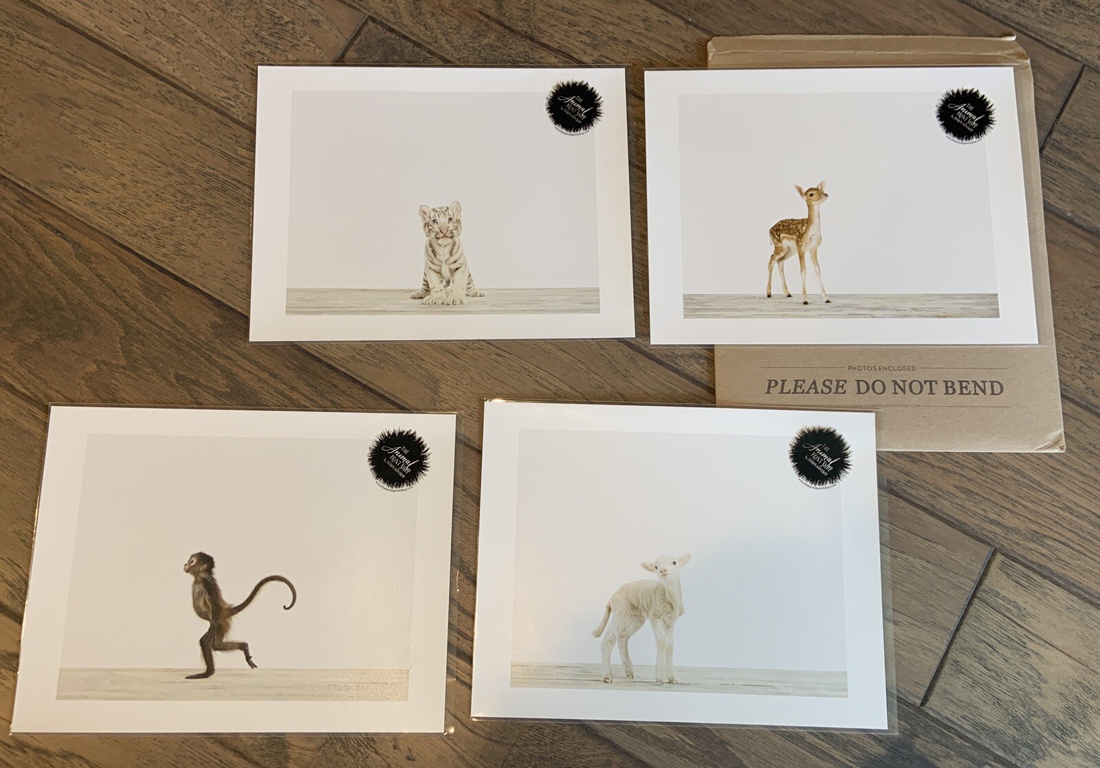 4 Animal Print Shop Prints ( NEW in Sleeves ) Size 11 X 8 3/4