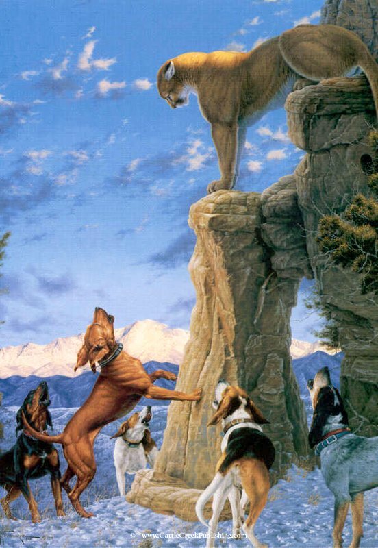 Out of Reach – Mountain Lion with Hounds – Print – BY TOM MANSANAREZ
