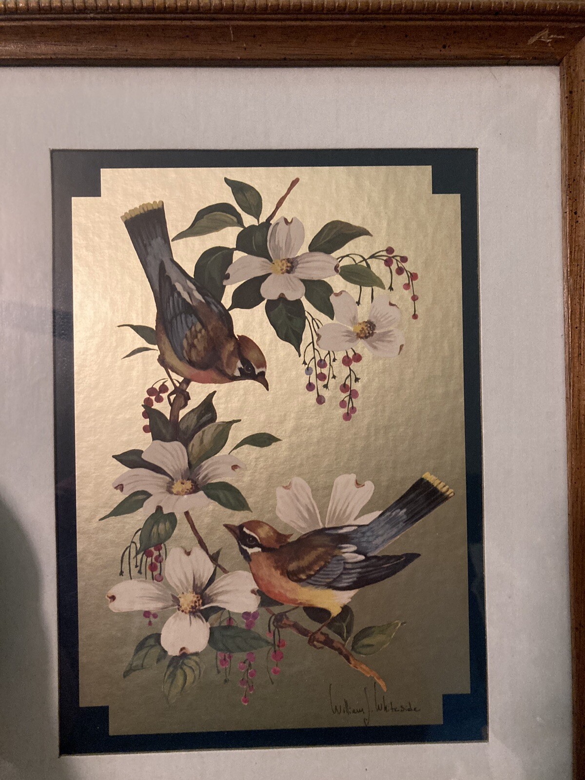 VTG PRINT William J. Whiteside Gold Foil Birds on Dogwood SIGNED FRAMED Mint