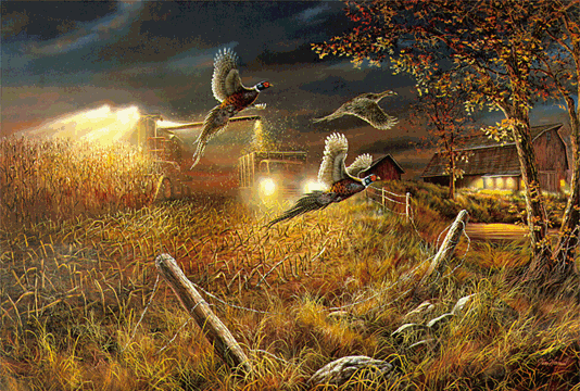 JIM HANSEL FIELD OF DREAMS Pheasant Print 33 x 17