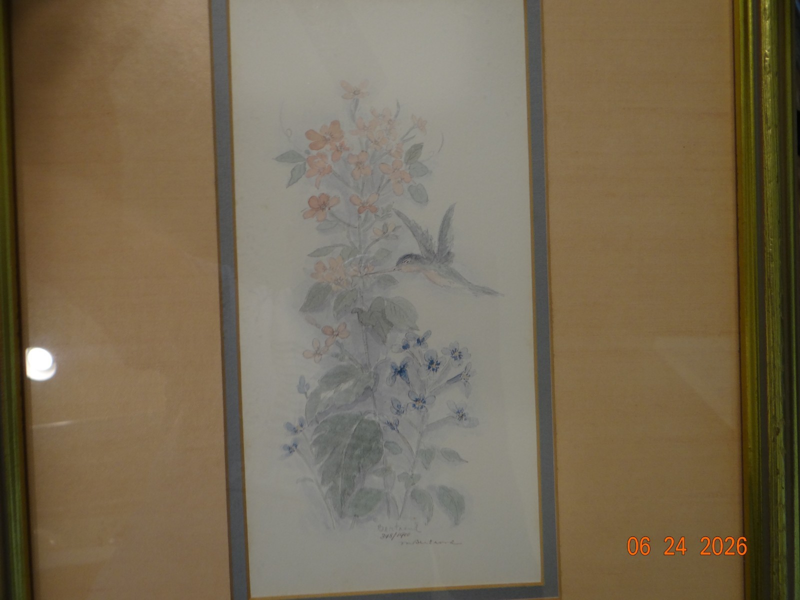 Pair of Signed Mary Bertrand Hummingbird w/ Flowers 18.5” x 13.5” Framed Matted