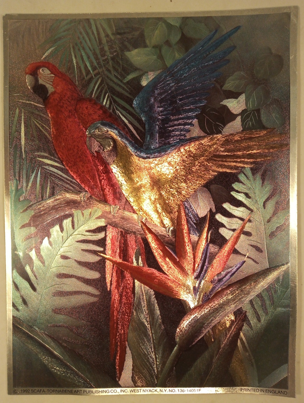 Vintage Colorful Parrot Bird Foil Art Scafa-Tornabene 1992 Unframed 8×6 England