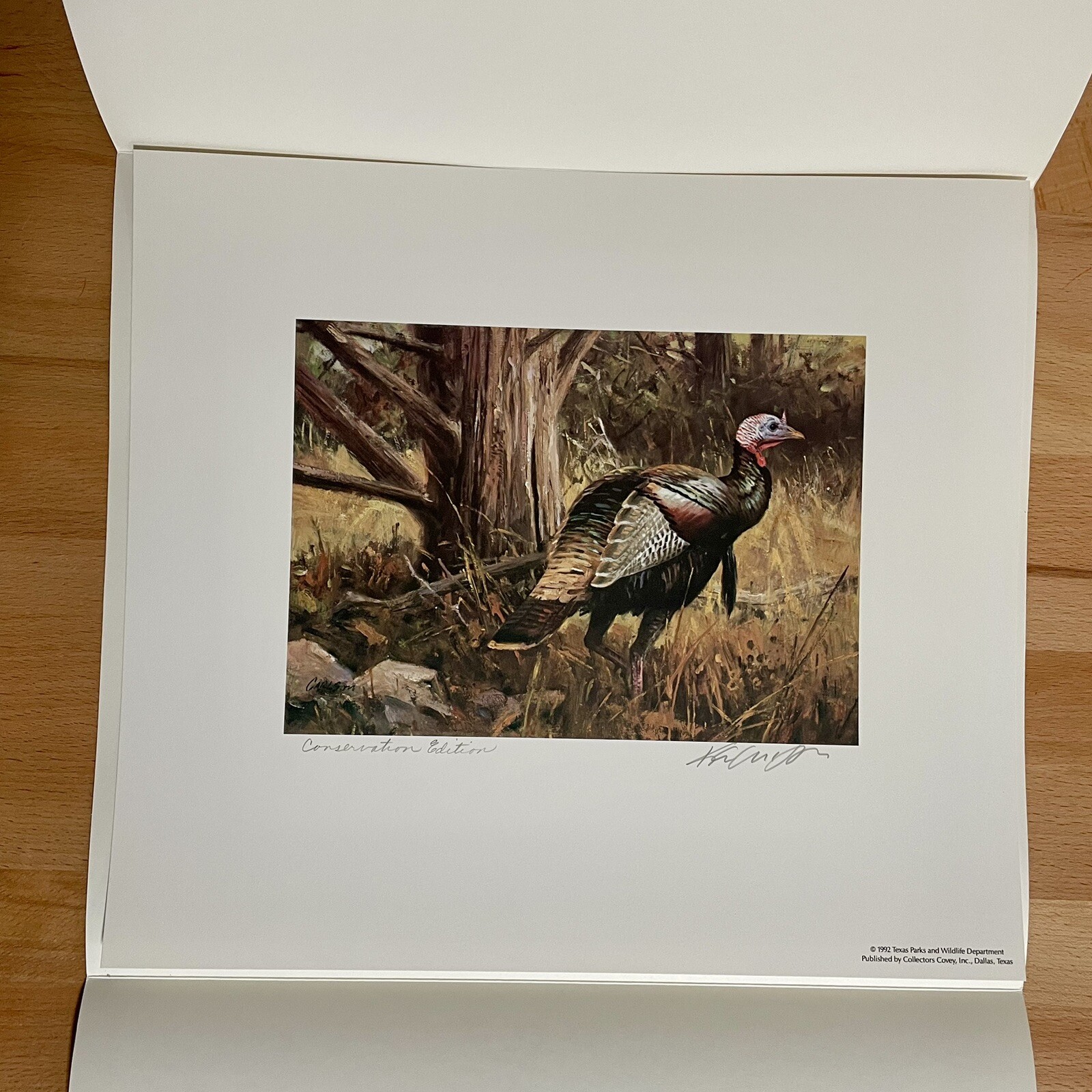 1992 Texas Turkey Stamp Print Conservation Edition Signed By Ken Carlson