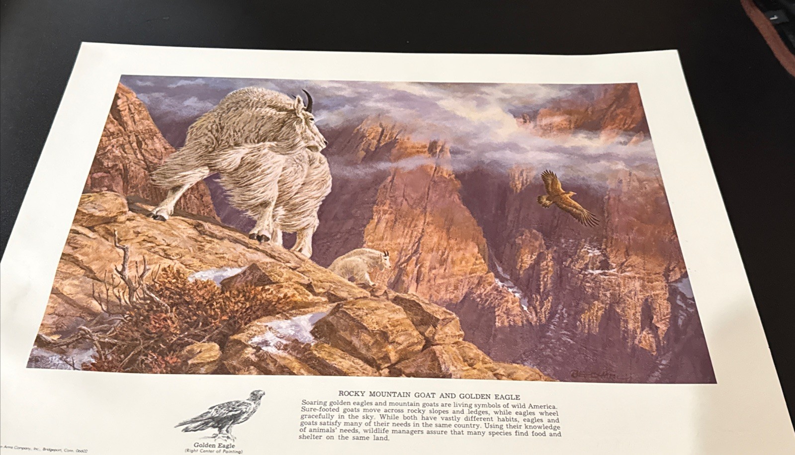Remington Wildlife Lithograph Print 16×12 Rocky Mountain Goat & Golden Eagle ‘78