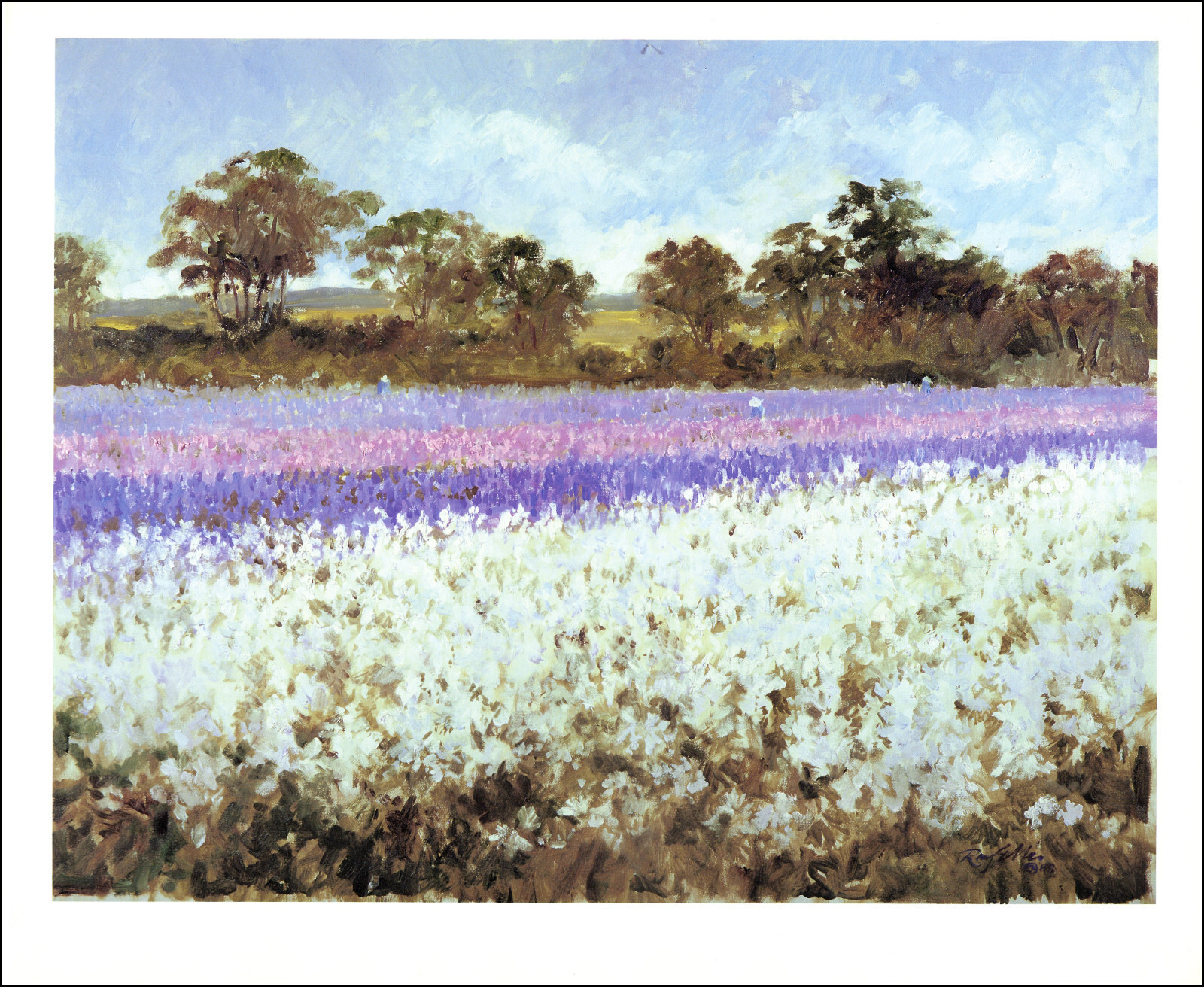1990 Vintage Print Flower Field San Clemente California Tree Sky Oil Paint Image