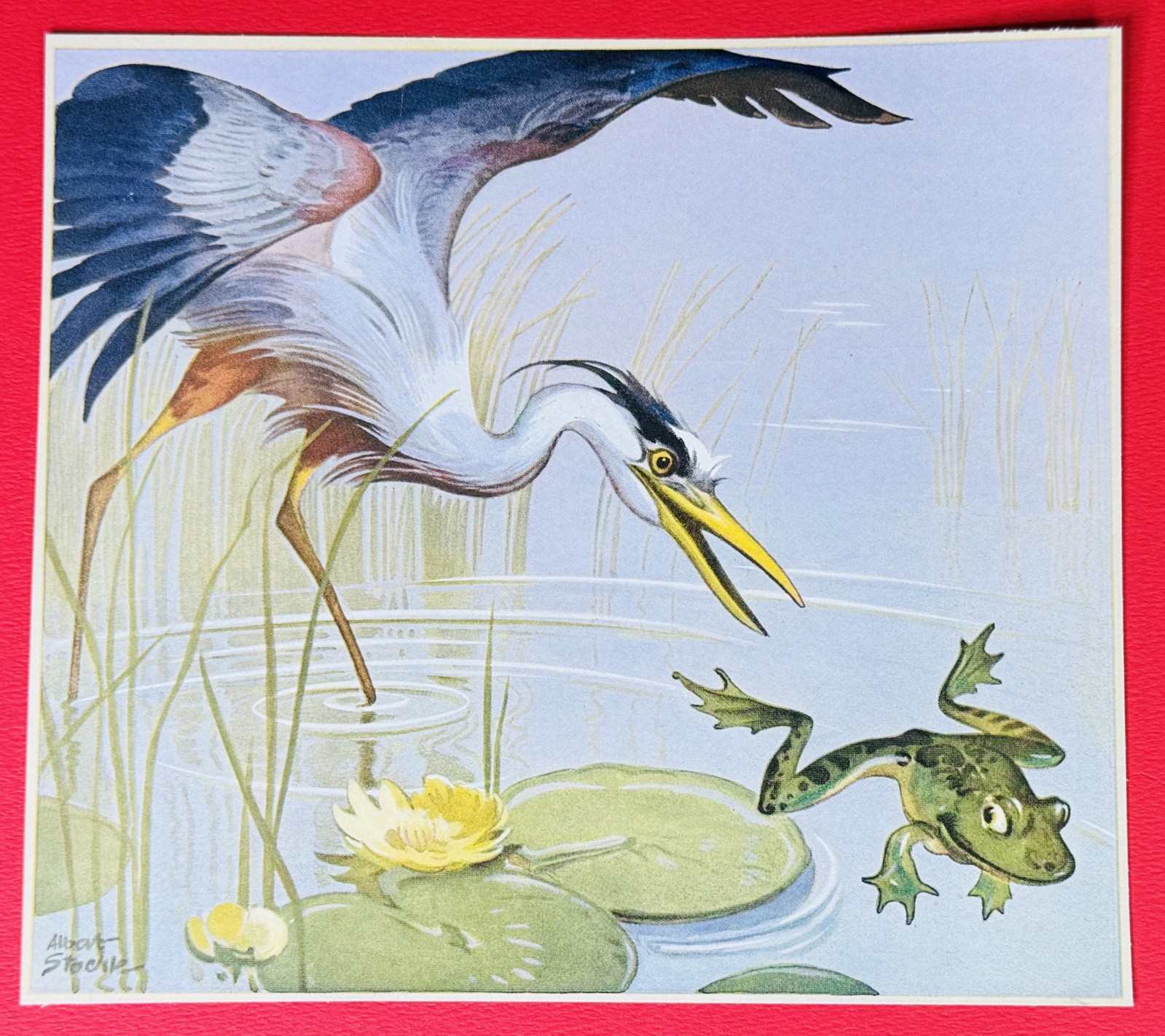 VTG ALBERT STAEHLE FROG & HERON ART PRINT Mounted Nature Bird Lilly Pad Water