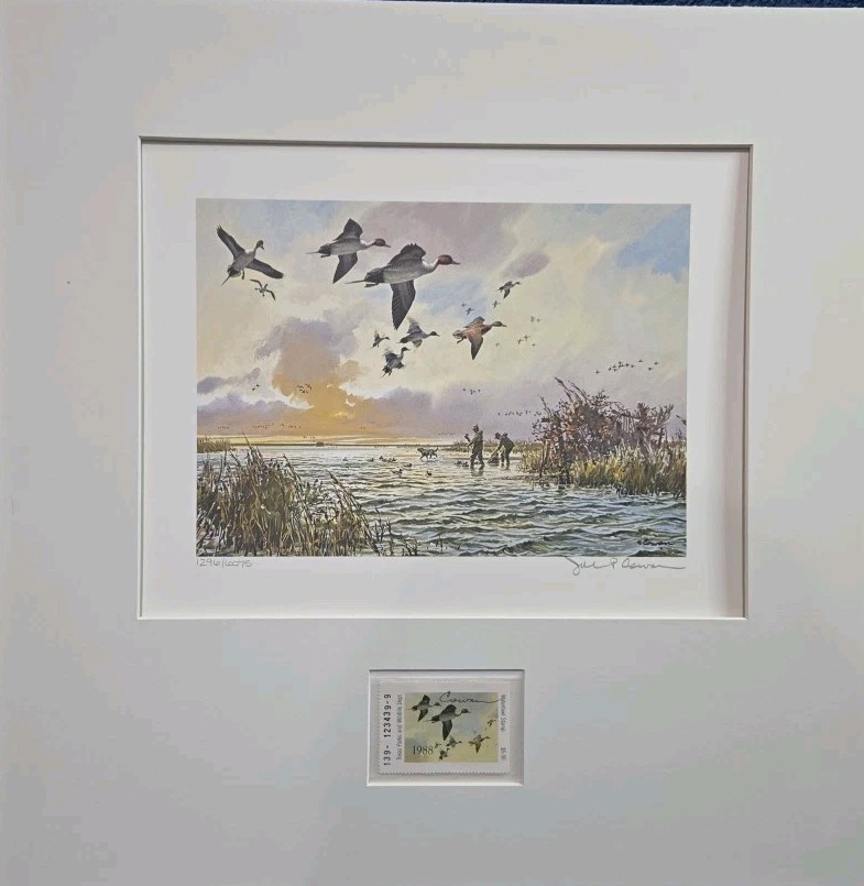 Ducks Unlimited John P. Cowan Signed 1296/6075 1988 Picture Abd Stamp