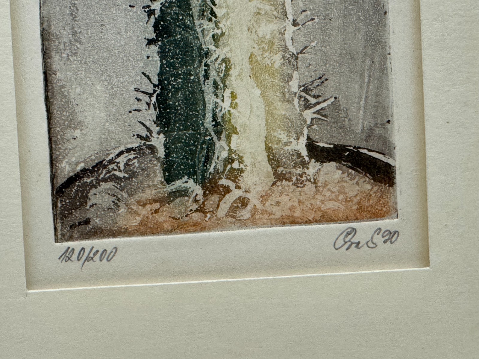 LOT OF 3 ORIGINAL CACTUS PLANT COLOR ETCHINGS ETCHING SIGNED NUMBERED CACTACEAE