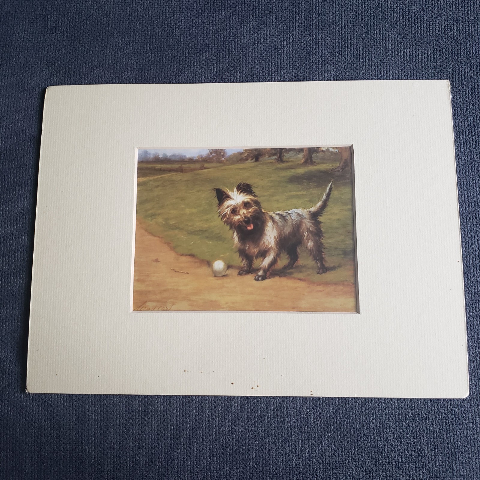 Vintage Dog Prints Magazine Covers Book Pictures Sketches Color Black & White