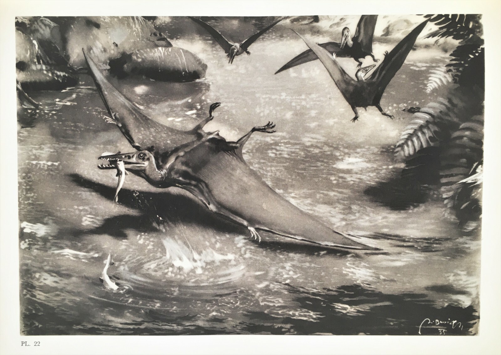 PTERODACTYL Pterosaur, Dinosaurs, Vintage 1960s Colour Print by Burian