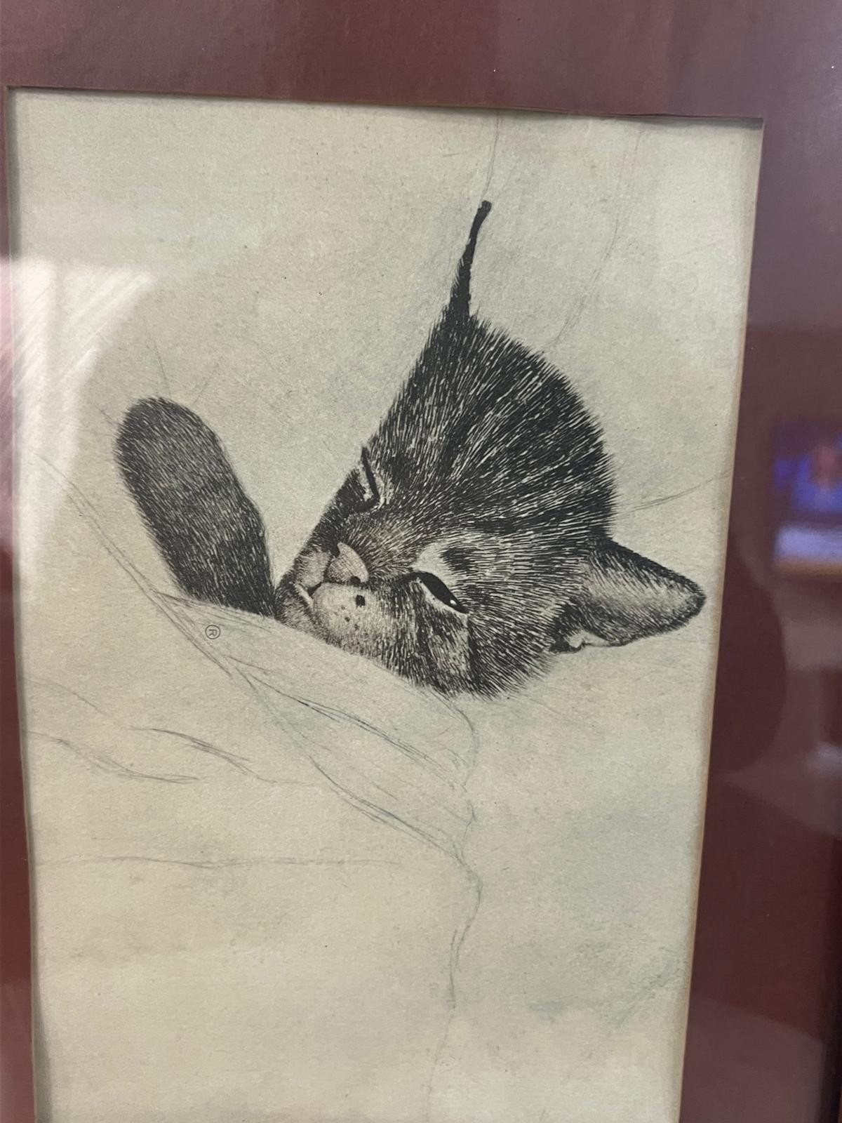 Vintage Sleeping Kitten Sketch Etching Wooden Framed Wall Art 13 3/4″x10 3/4″