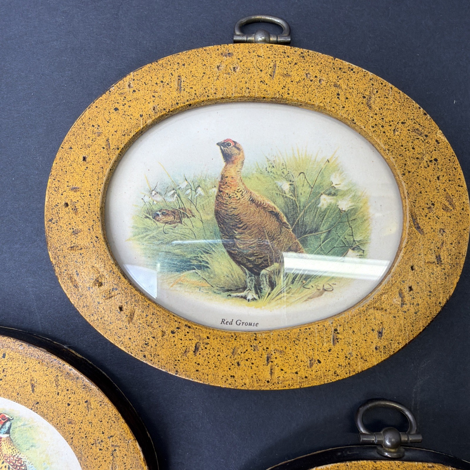 Vintage Mid Century Small Oval Framed Prints Of Game Birds 1981 4×5