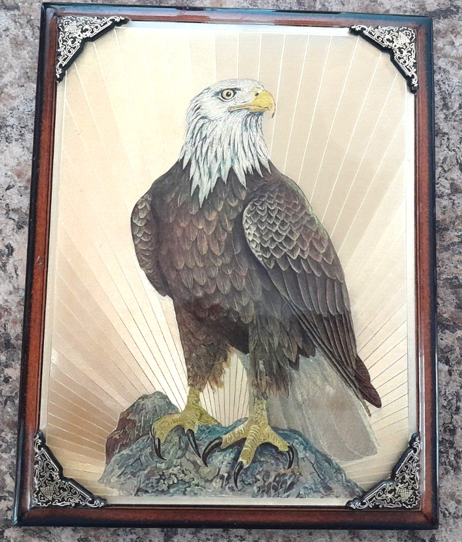 FJ Warren Ltd Dufex Gold Foil Prints Hitchin Herts England BALD EAGLE Wood Frame