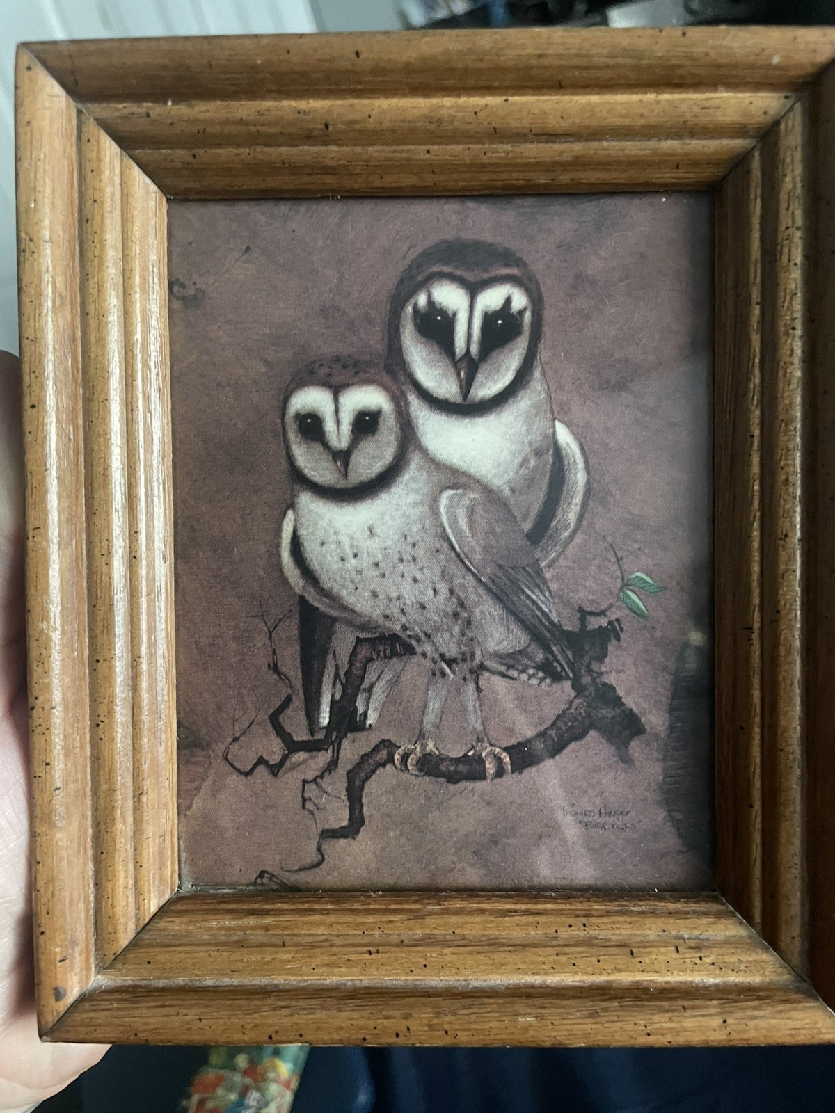 Vintage Print Richard Hinger Barn Owls Wood Glass Frame-5x6in. good condition