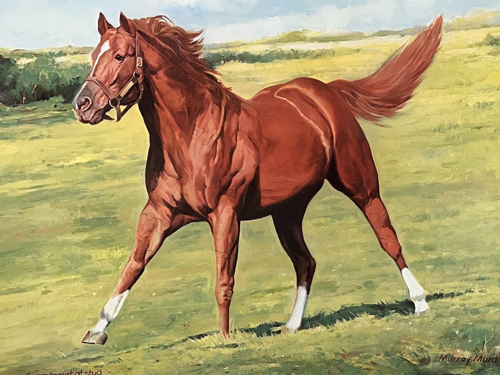 Secretariat Kentucky Derby Racehorse Lithograph Art Artist Signed Triple Crown