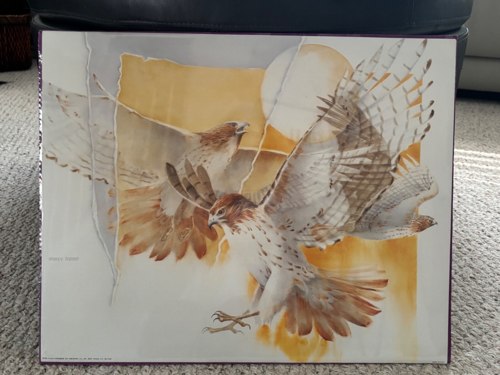 Vintage 16×20 Ready to Hang or Frame Print New Shirley Porter Eagles