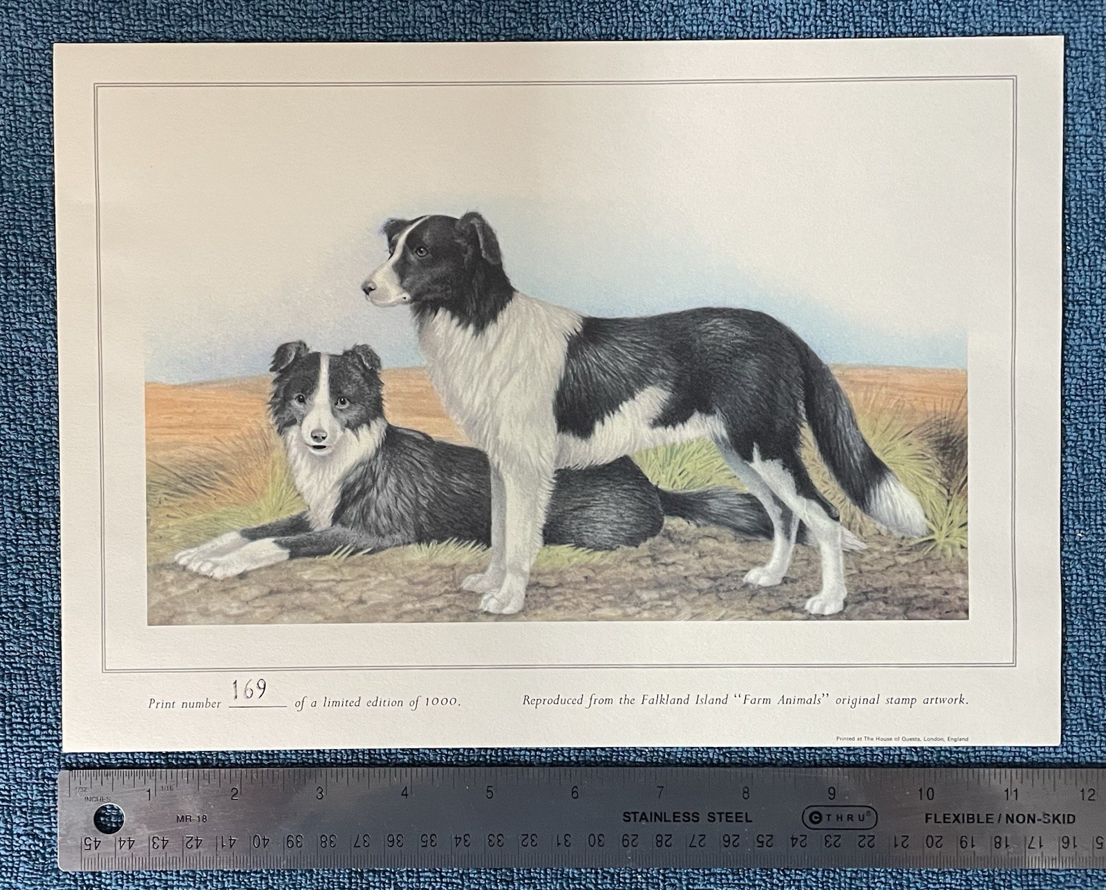 Limited Edition “Farm Animals” Print. Based on Falkland Islands stamp art