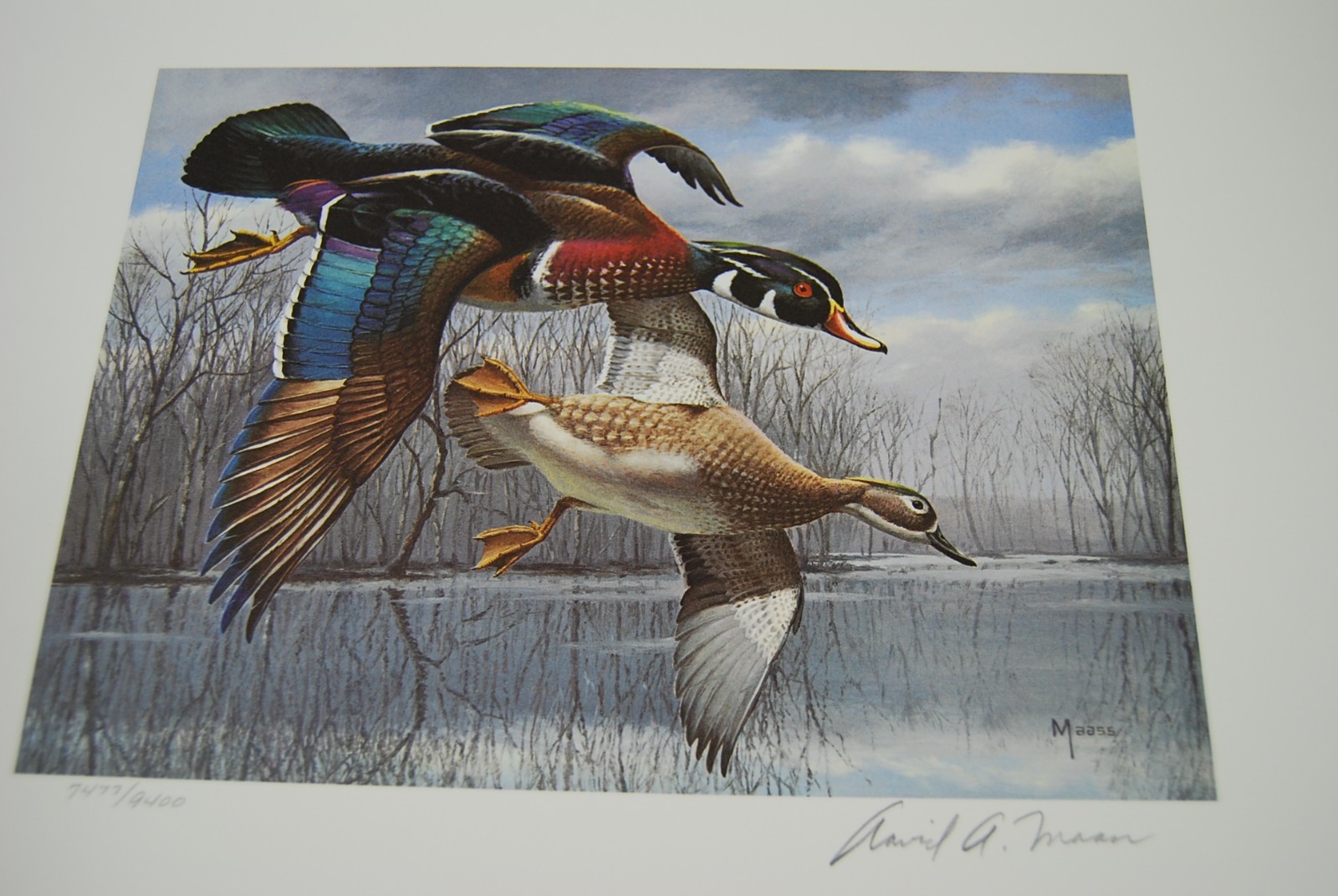 1984 Texas Waterfowl Duck Stamp Print and Stamp Signed by David Maass 7477/9400