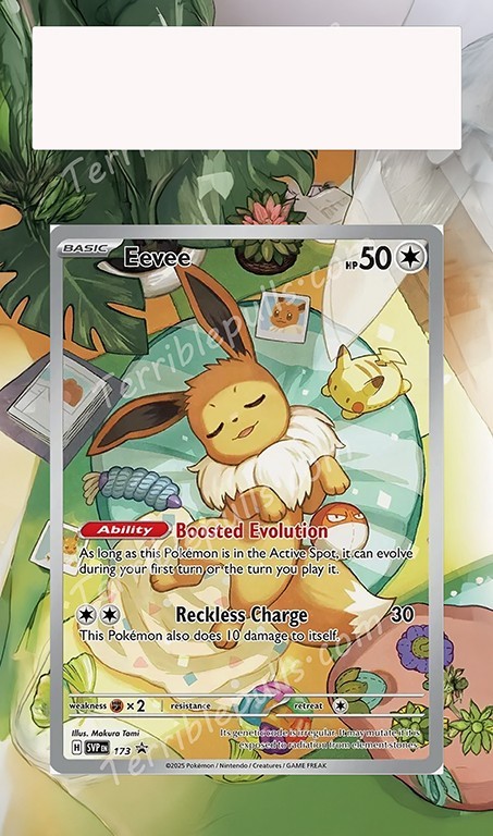 Pokemon Extended Art Insert for PSA Slab- Eevee 173 Promo