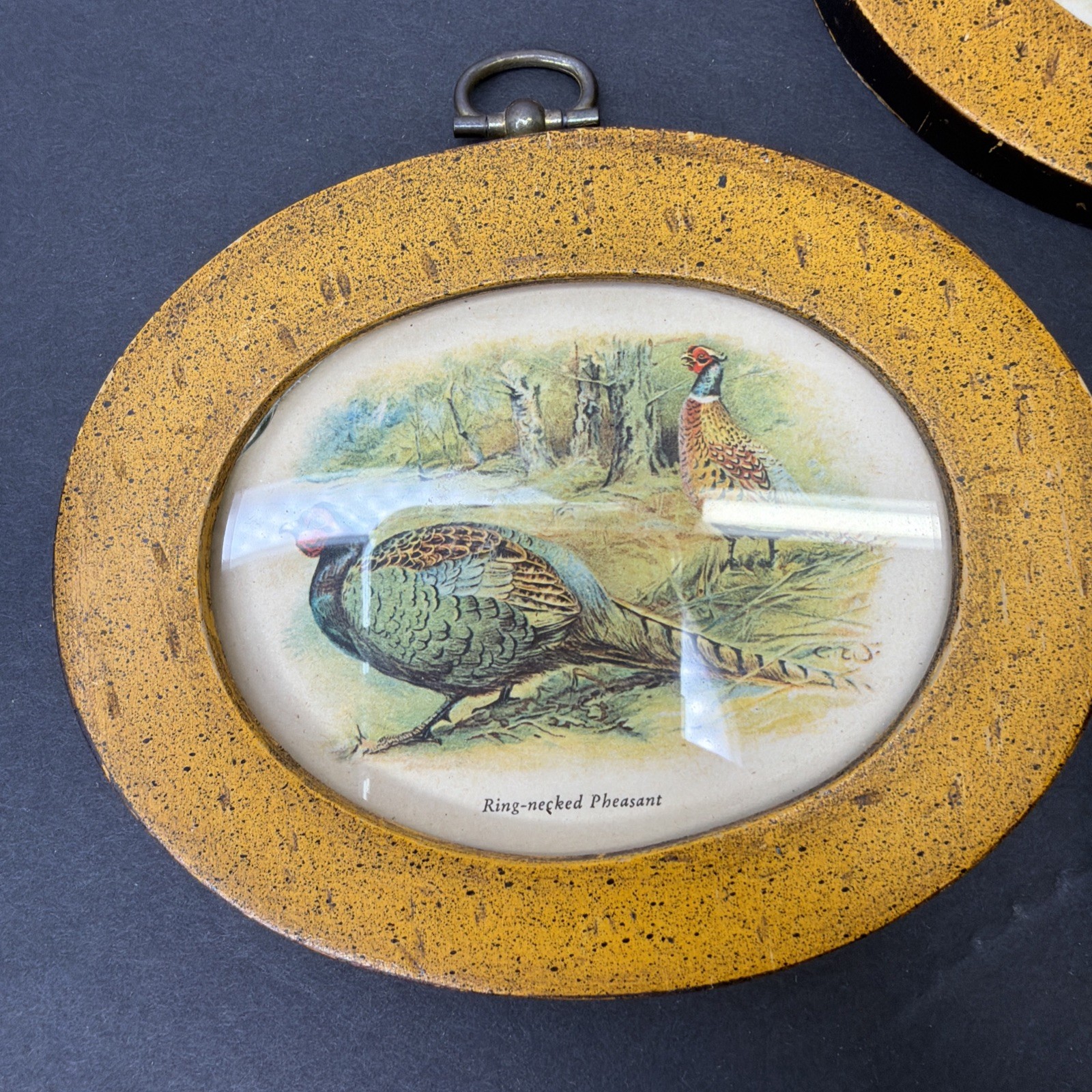 Vintage Mid Century Small Oval Framed Prints Of Game Birds 1981 4×5