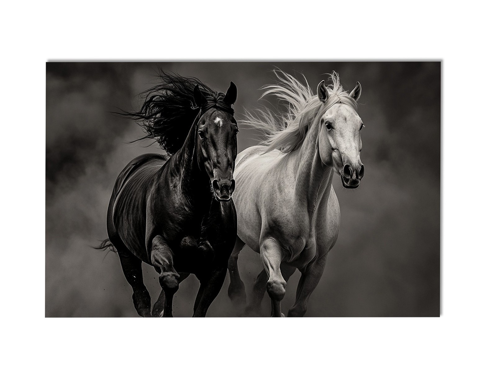 Black & White Wild Horse Wall Art Print – Running Stallions Art Photo Poster