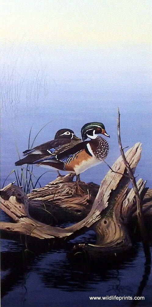 Derk Hansen Evening Splendor – 10.75″x 22 Open Edition