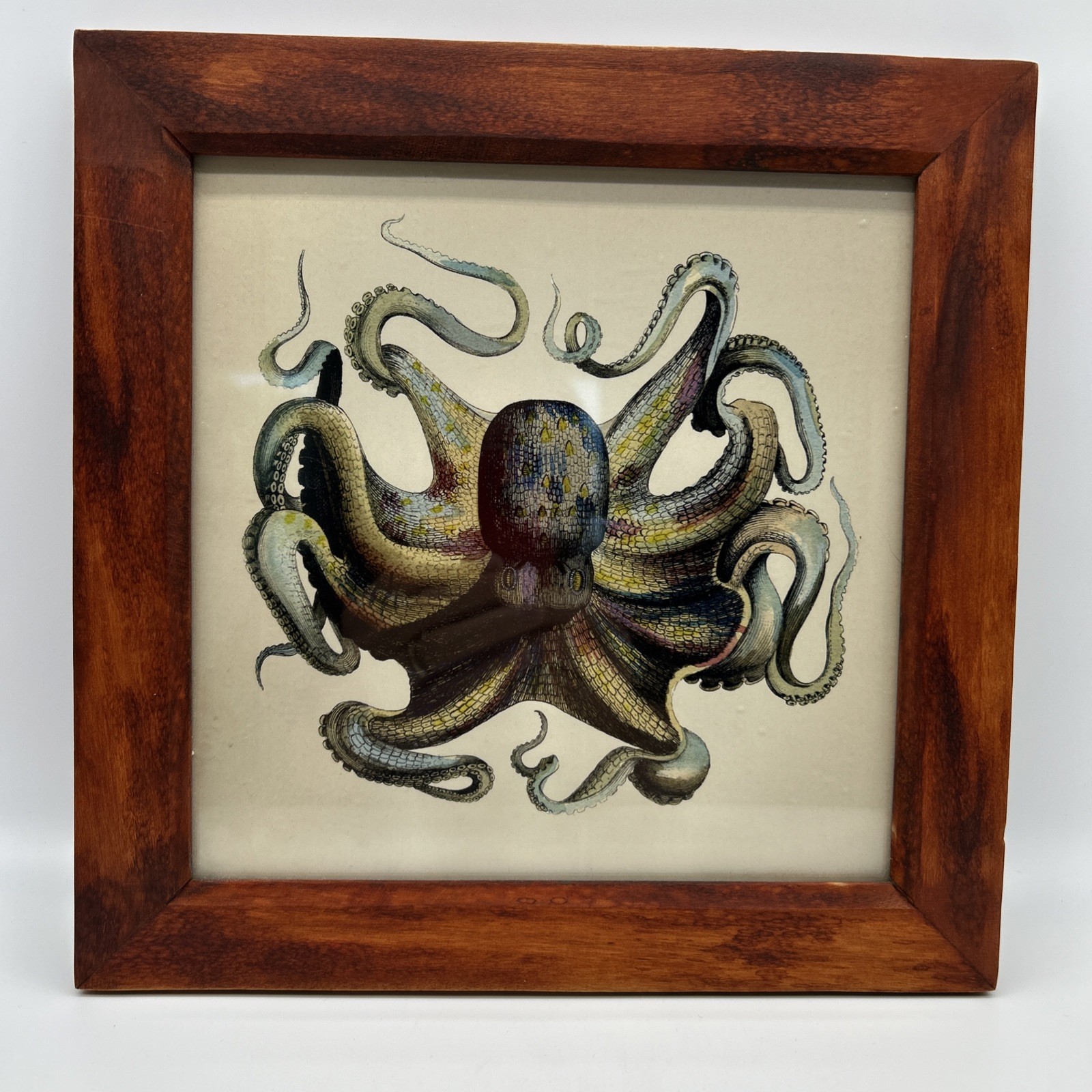 Framed Octopus Art Print Wooden Frame Madison Bay Company 9.75” x 9.75”