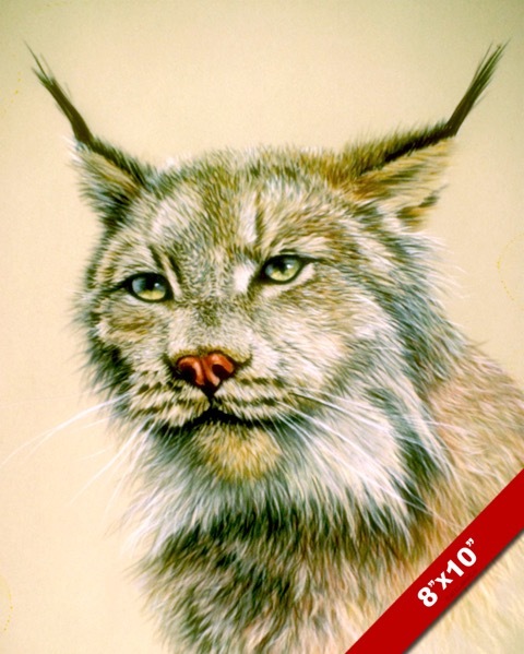 LINX WILDCAT BIG CAT ANIMAL HEAD PORTRAIT PAINTING ART REAL CANVAS PRINT