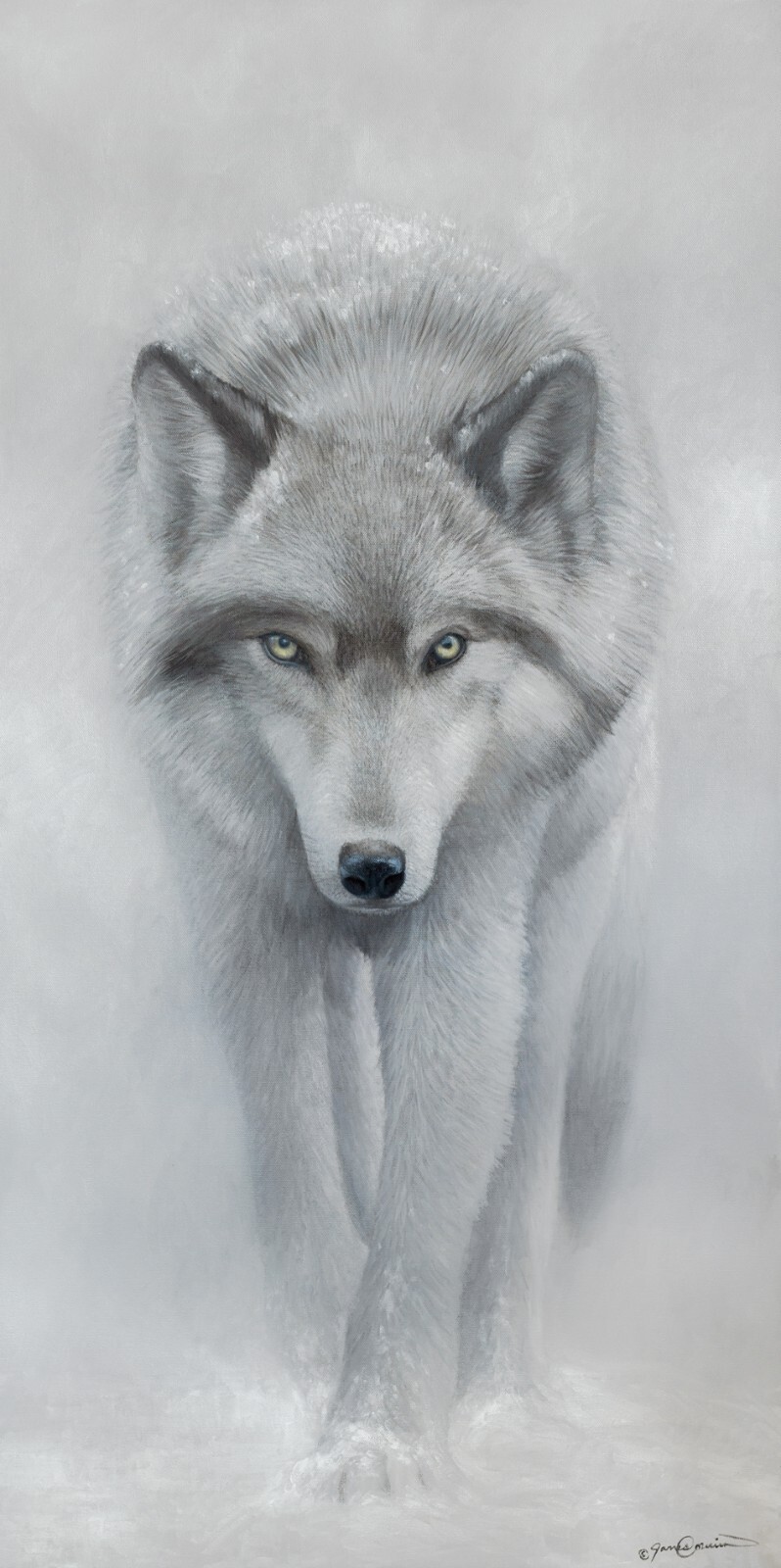 White Wolf in Winter Art – Limited Edition Giclee Print – Signed by Artist