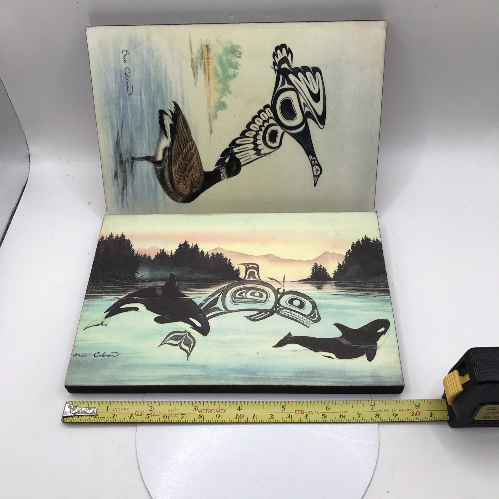 Sue Coleman Killer Whales & Brant’s Goose Pacific Northwest Art Print Set