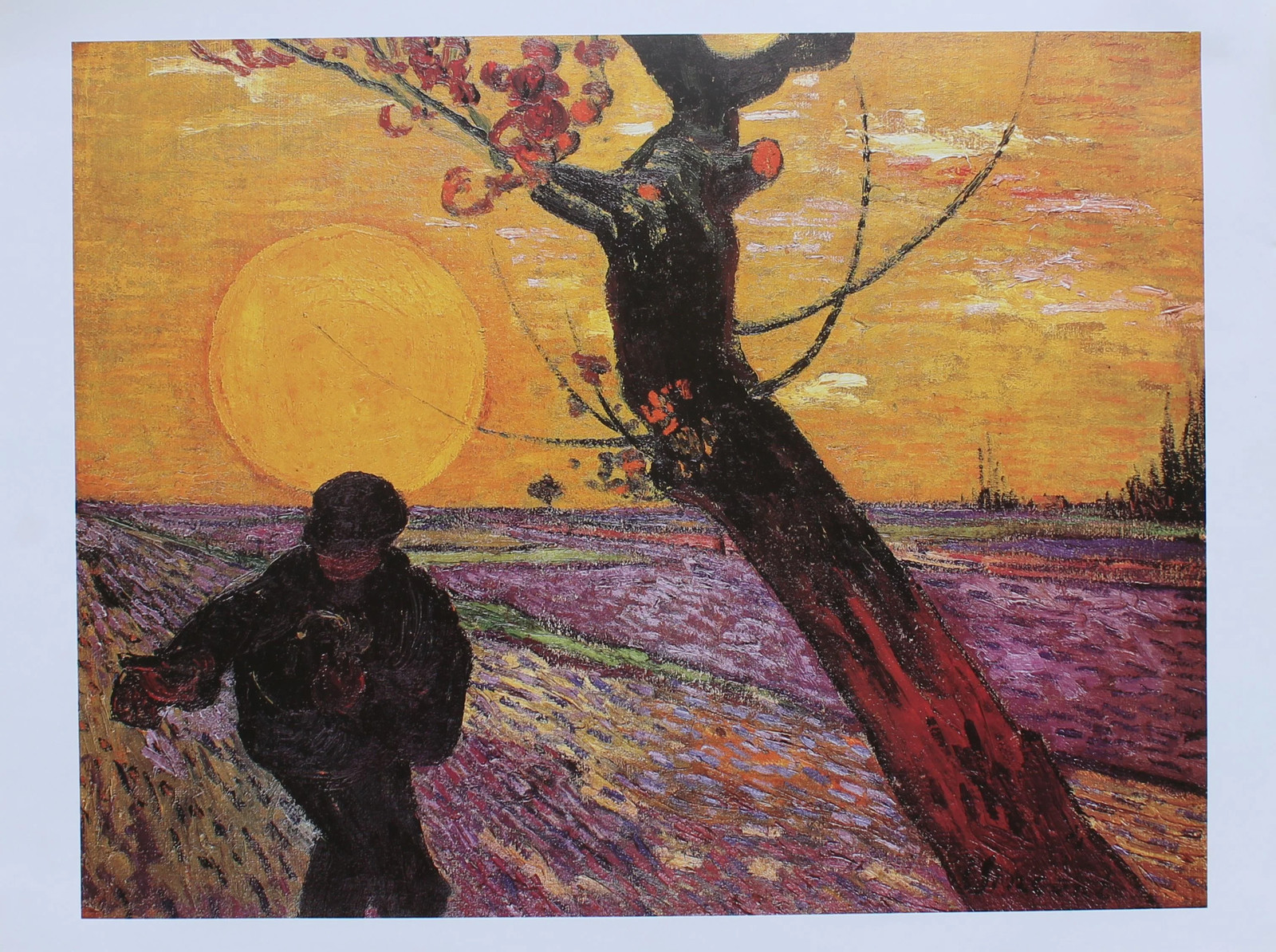 Vincent Van Gogh – The Sower (23.5 in x 31.5 in)