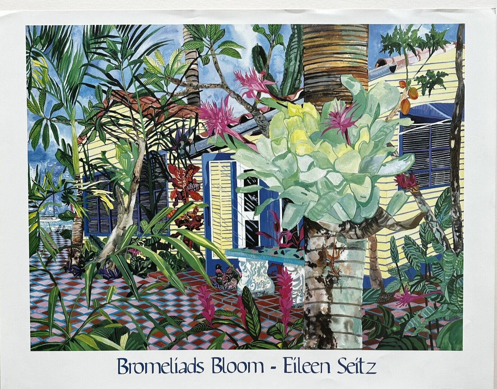Bromeliads Bloom – Eileen Seitz
