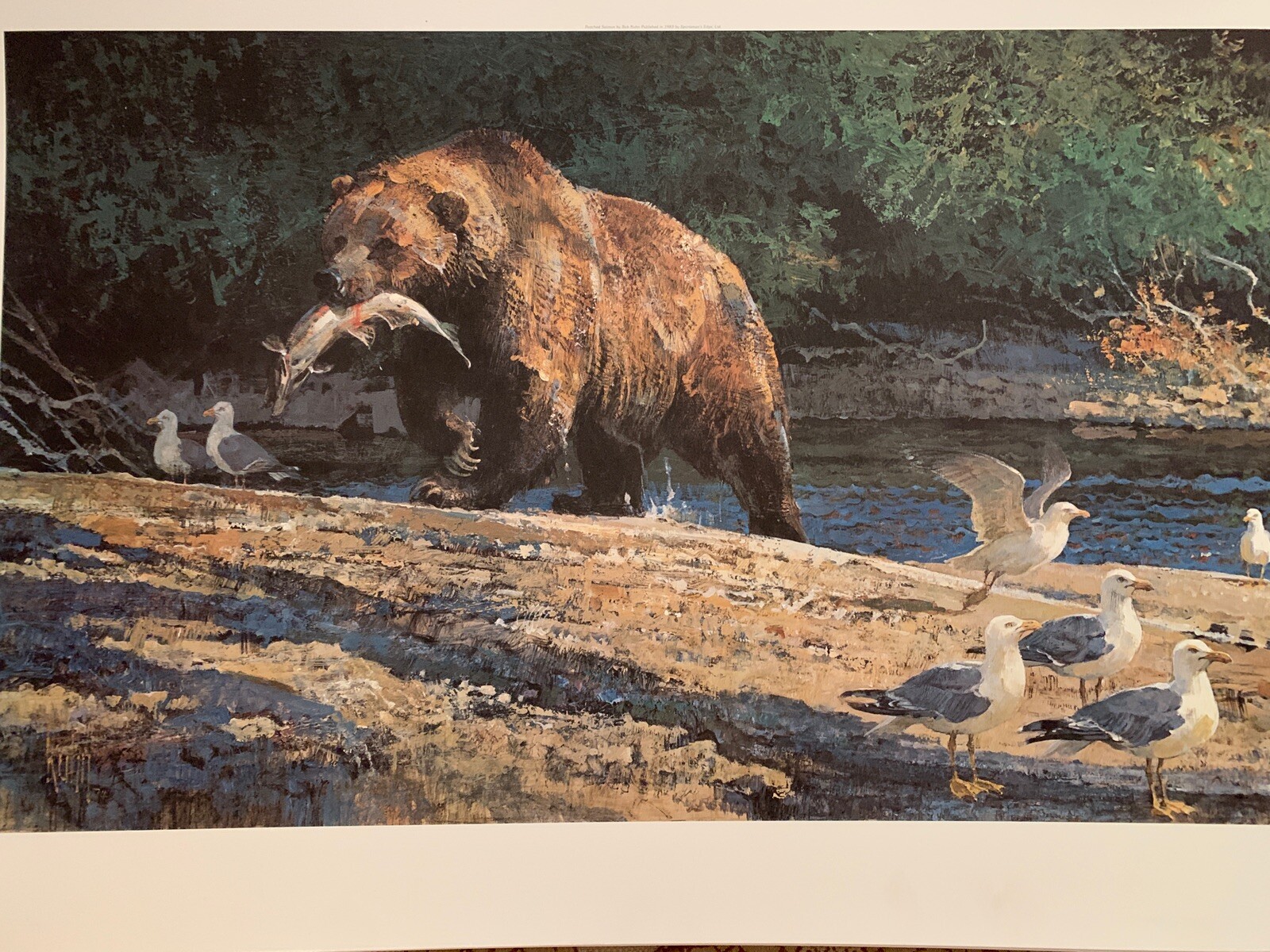 Bob Kuhn “Poached Salmon” Nature Lithograph Print 1974 Signed In Plate