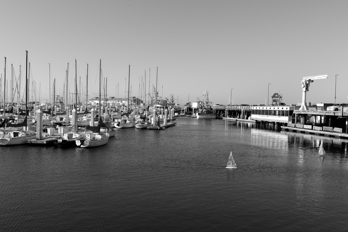 Carol Highsmith – Monterey California Photography Art Print Canvas or Paper