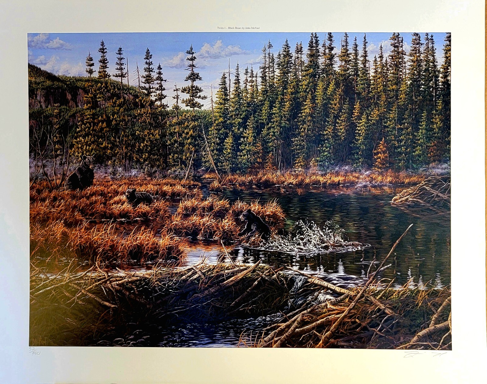 Signed wildlife art print, Black Bears, Beaver Art, Sleeping Giant, Ontario