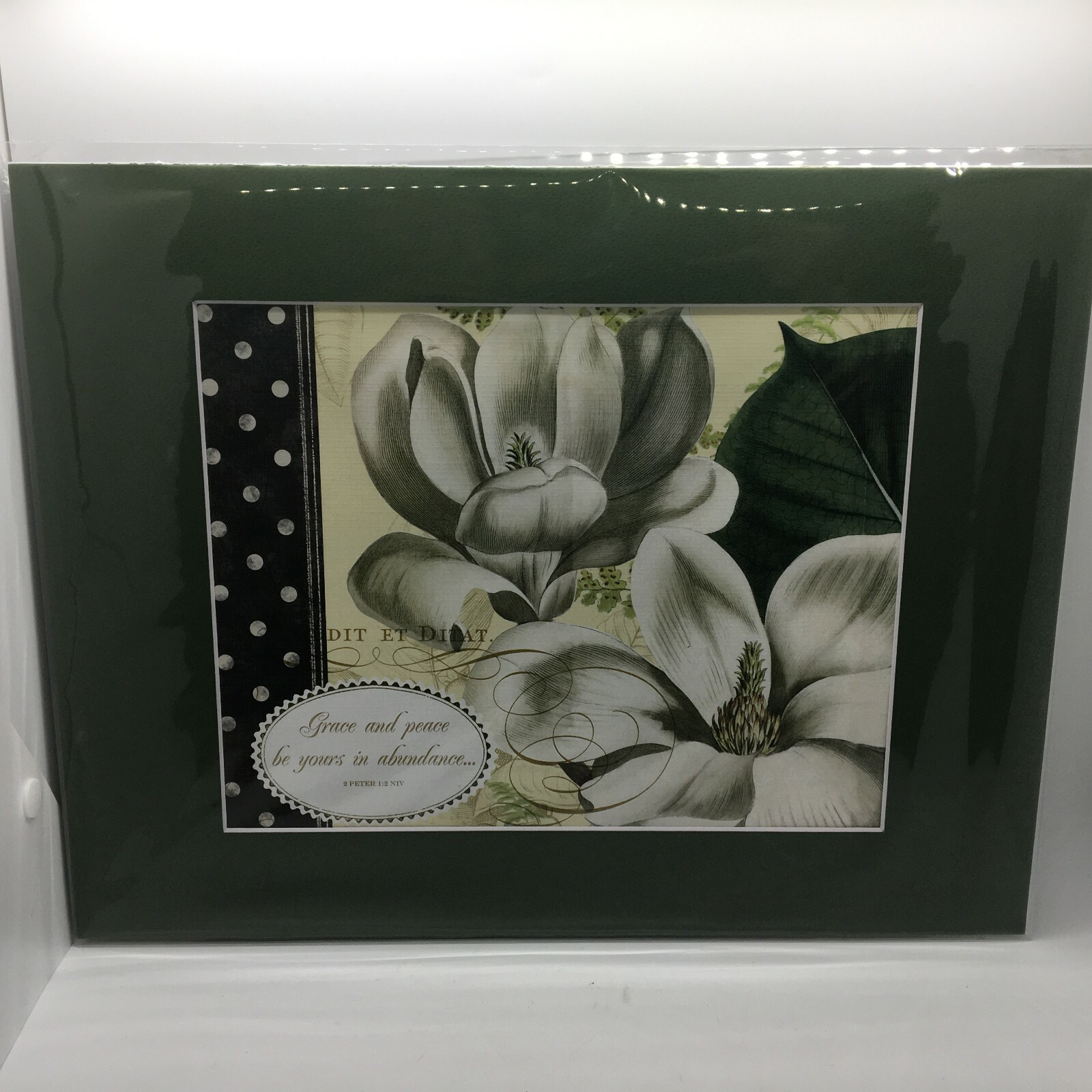 New 11×14 Matted to 8×10 Religious Art W/Backer Scripture 2 Peter 1:2 NIV
