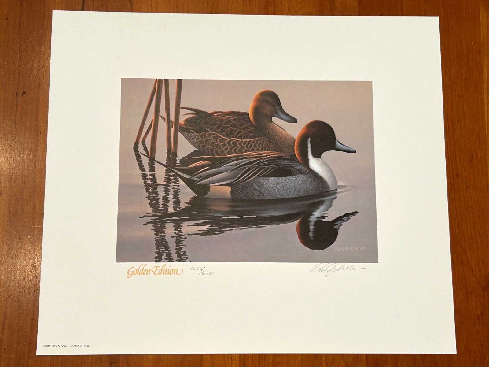 1983-84 GOLDEN FEDERAL MIGRATORY WATERFOWL STAMP GOLDEN ANNIVERSARY PHIL SCHOLER