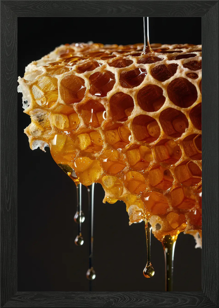 Honeycomb Dripping Honey Framed Wall Art Poster Canvas Print Picture