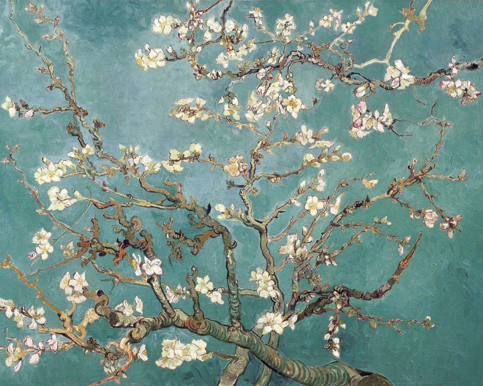 Vincent Van Gogh Almond Blossom Painting Giclee Print on Fine Art Paper
