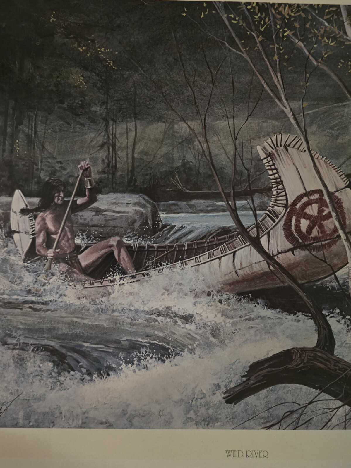 1984 Wild River 120/980 By Signed Ralph R.J. McDonald Print @190