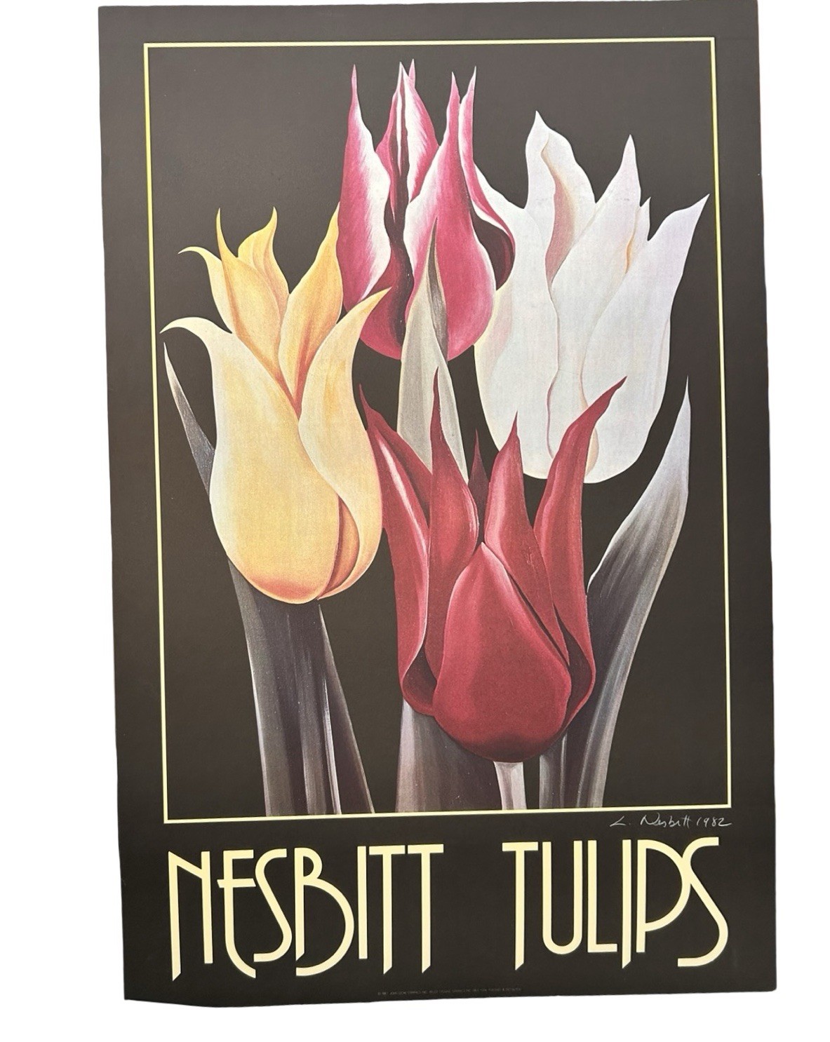 VTG 1980 Lowell Nesbitt Signed Tulips Poster Lithograph On Cardboard 38” X 25”