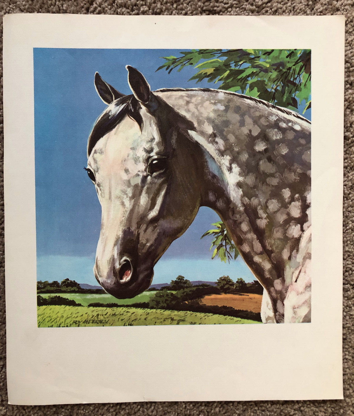 Roy Anderson Horse Print Arabian Aristocrat Horse Farm Progress collection