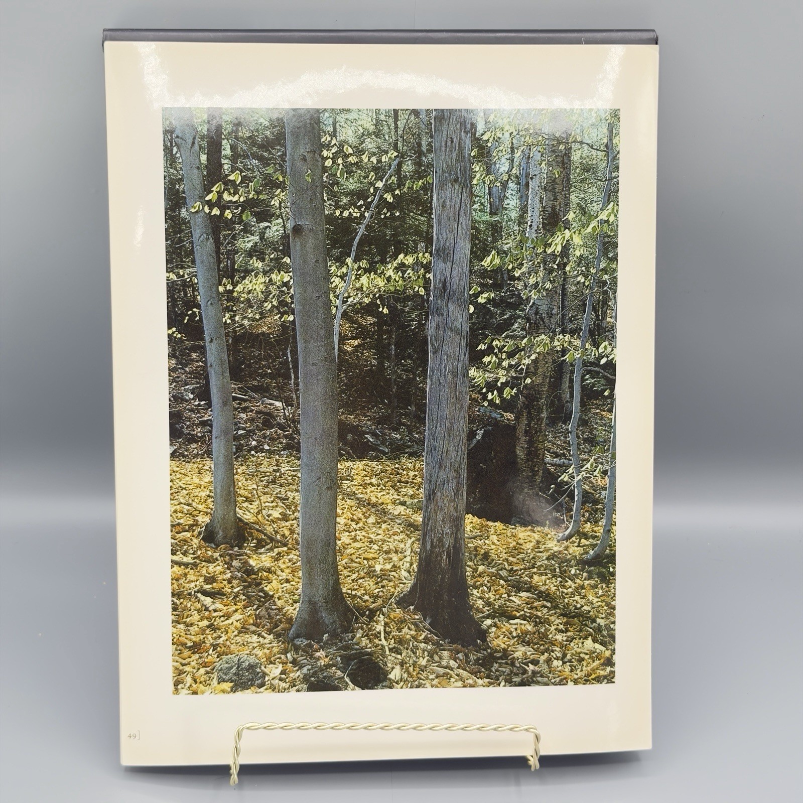Eliot Porter Sierra Club Color Lithograph Plates Thoreau Text 9 Plate Numbered