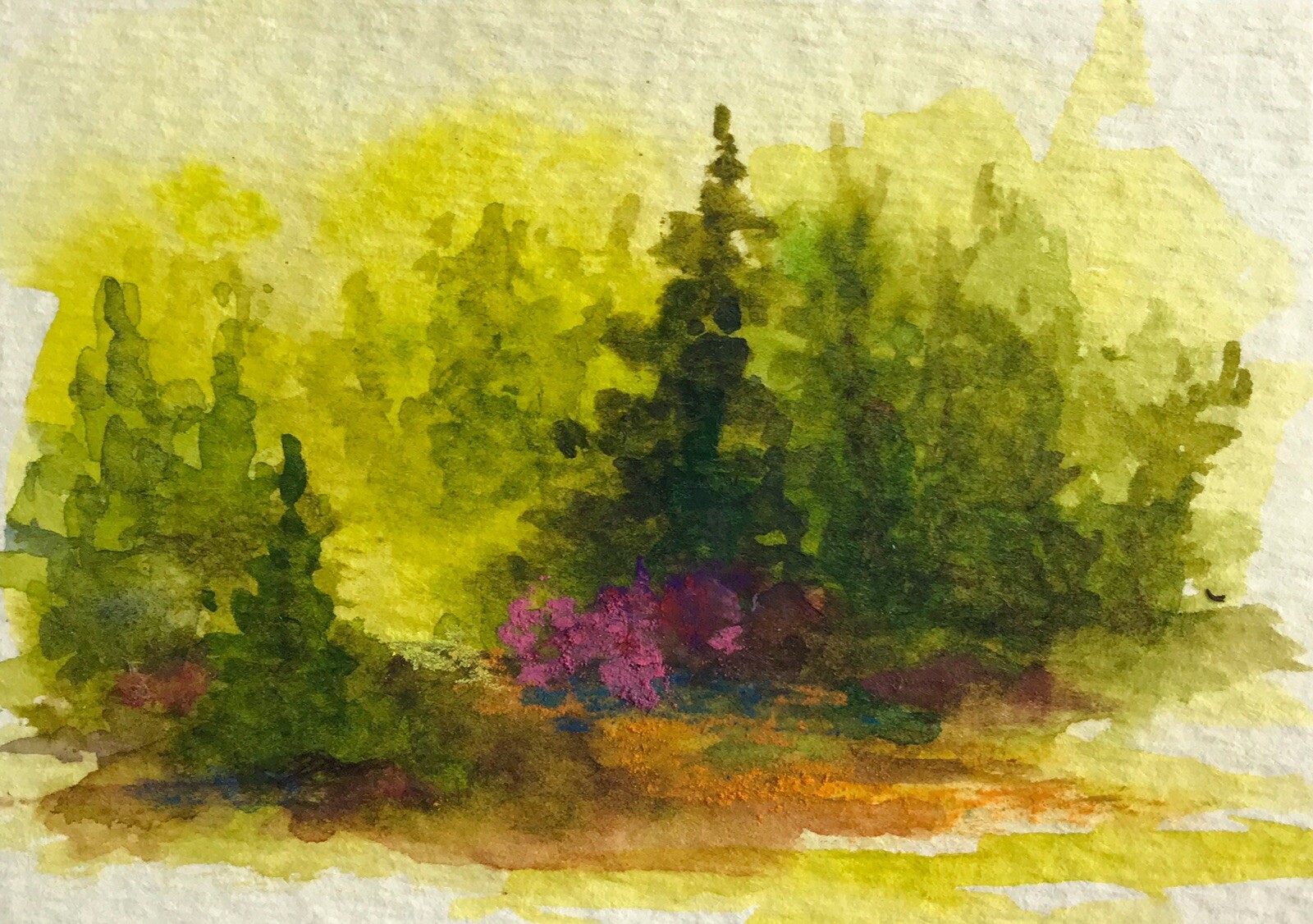 ACEO ATC Print “Forest Green” Landscape Forest Trees Art Trading Card Signed