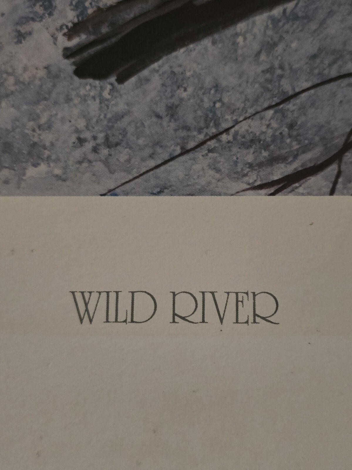 1984 Wild River 120/980 By Signed Ralph R.J. McDonald Print @190