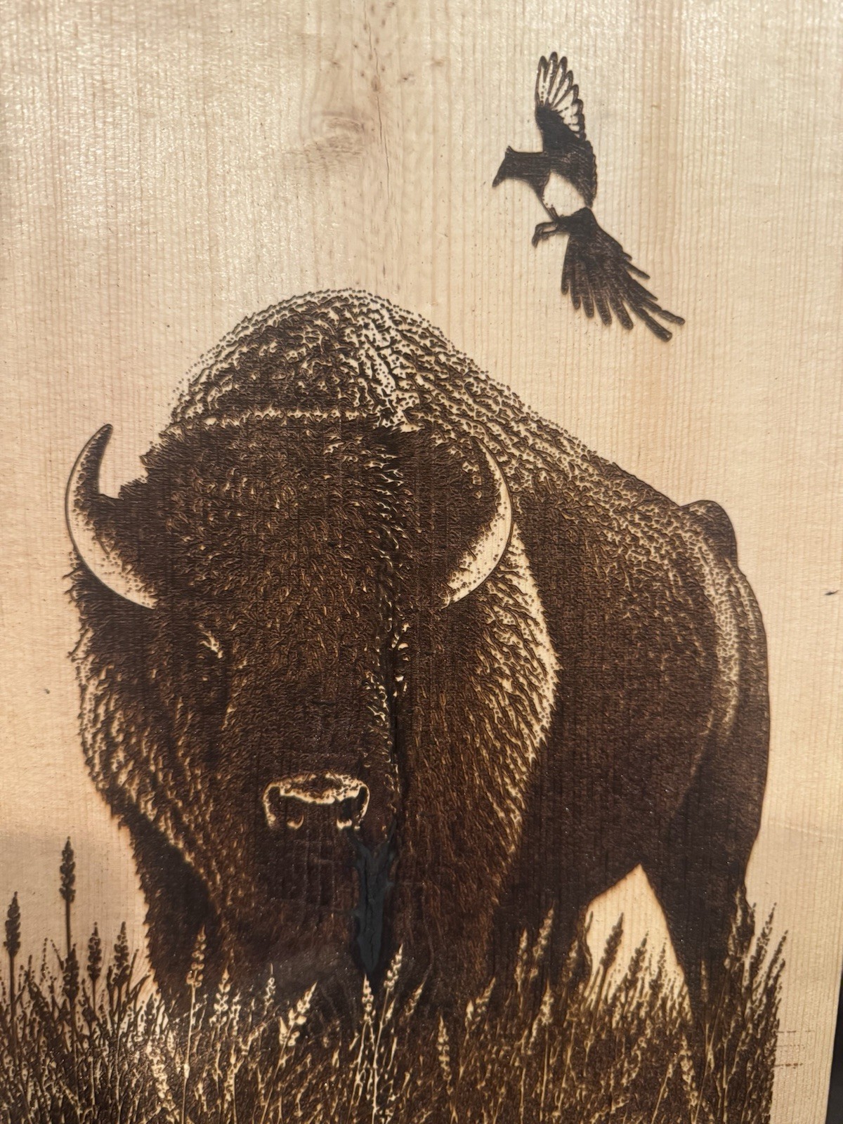 Bison & Bird Animal Wildlife Art Print – Portrait Orientation, Pyrography art